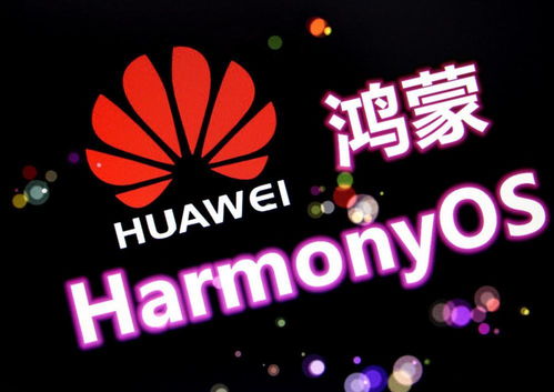 華為P50最新細節確定，鴻蒙也有新消息，幸福來得真突然